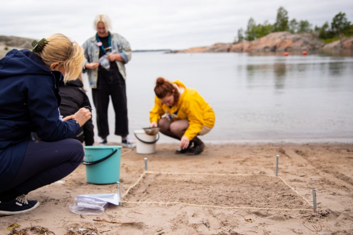 grupp kan utföra sina undersökningar på stranden samtidigt.